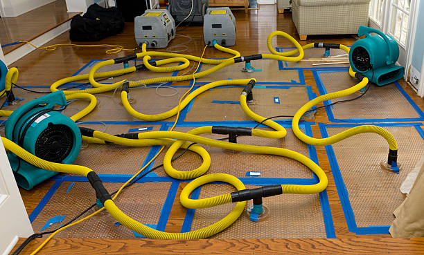 Professional Water Damage Repair technician working in Jelm, WY